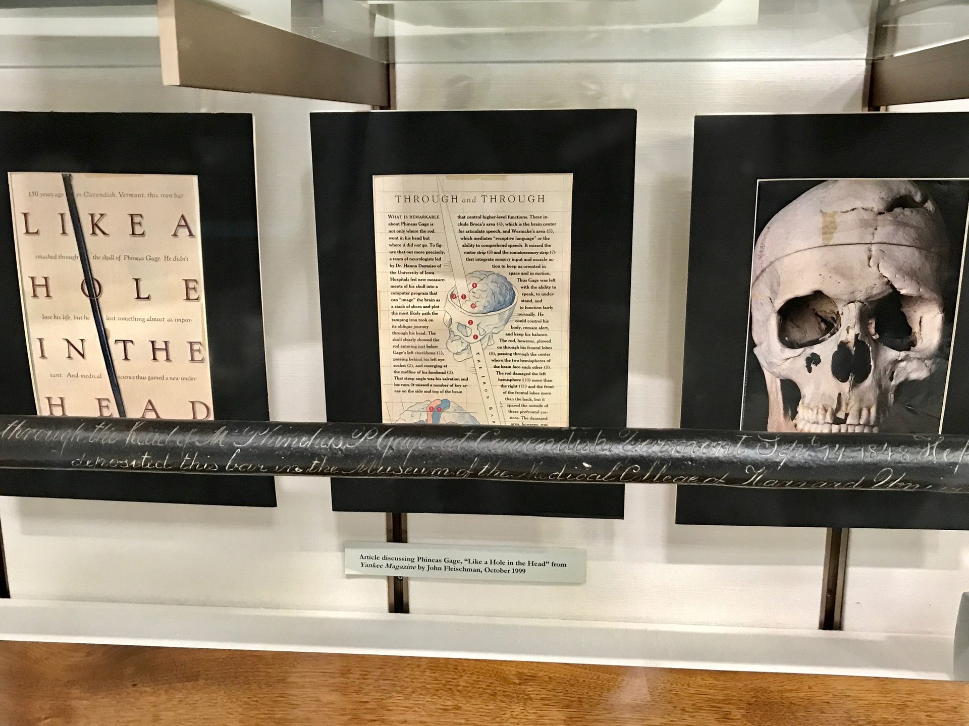Phineas Gage memorabilia, Warren Anatomical Museum, Boston (by Luca Ambrosio) - 05.jpg